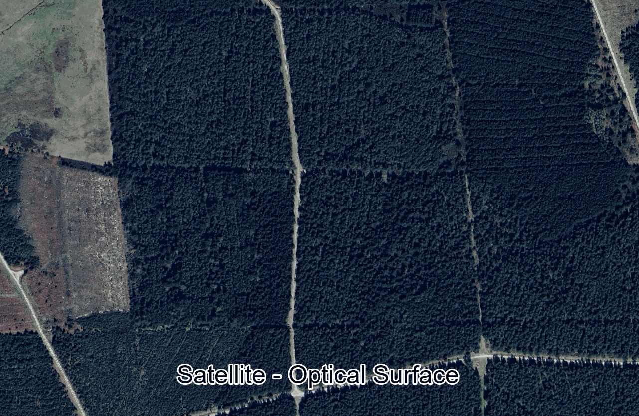 Animated GIF showing a forest landscape transitioning between a detailed point cloud and a hillshade view beneath the canopy.